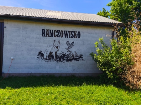 Tutaj rządzą zwierzęta!